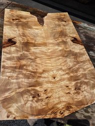 Mappa (european black poplar) burl premium exotic timber